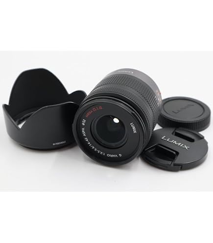 Amazon.com : Panasonic Telephoto Zoom Lens for Micro Four Thirds